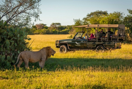 Safari et Zanzibar en mode actif