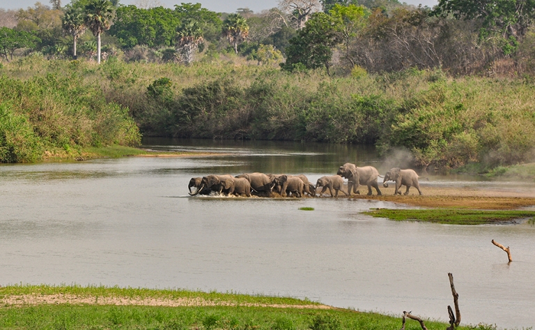 Safari bateau et 4x4 dans le sud tanzanien